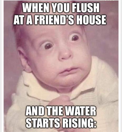 FB_IMG_1656801549431