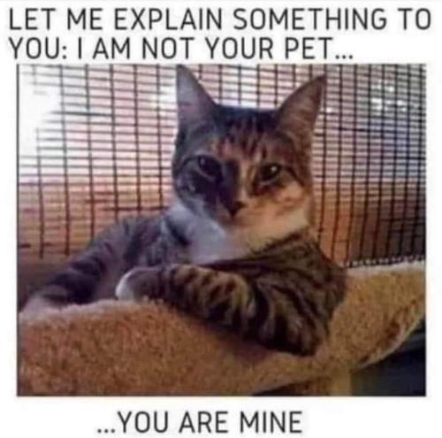 FB_IMG_1656908349577