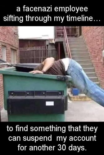 sifting through my timeline