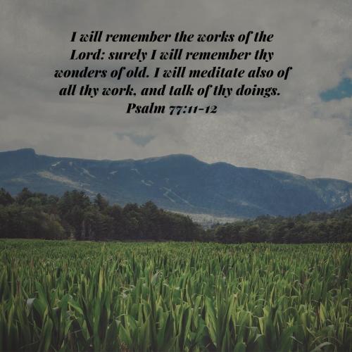 07:08:28 GMT-0400 (EDT)