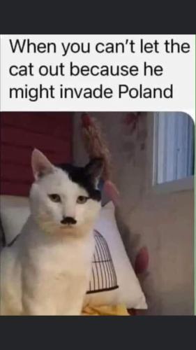 FB_IMG_1657385696791