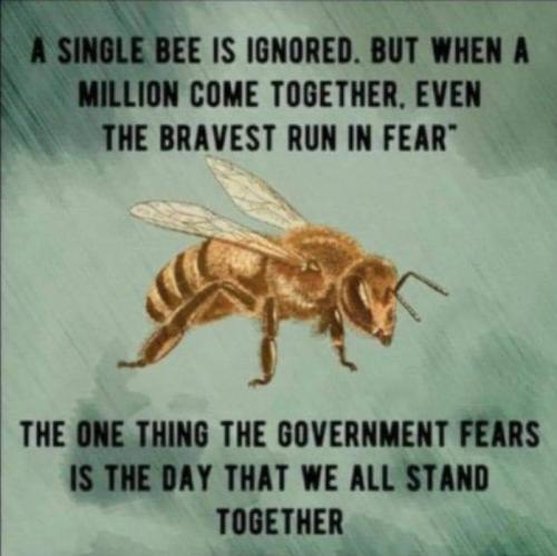 FB_IMG_1631626702236