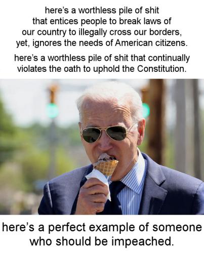 shitshow joe42