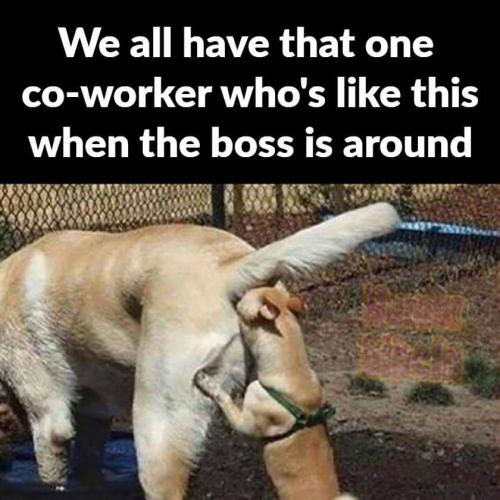 FB_IMG_1659196517791