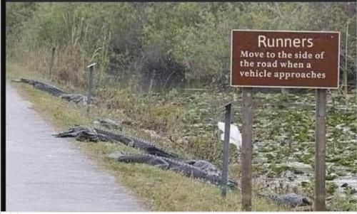 294174459_5132488030206427_5296945264150128230_n