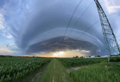 ,                                                                                                                                                                                                                          0 a