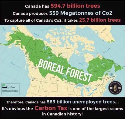 photo_2022-07-11_13-28-19