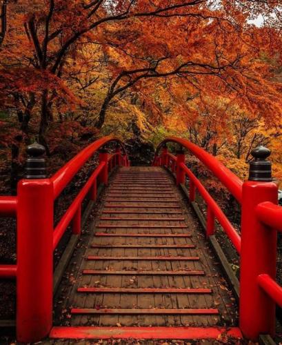 295100843_569310124823463_1699987479457023817_n