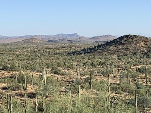 20191021_171559_59339255972__7C4EF1C3-782C-4A85-A513-F67A6B11564D