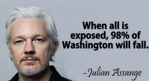 Assange 1