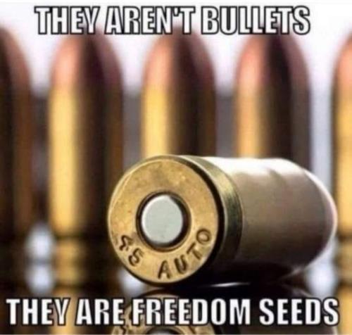 gun freedom seeds