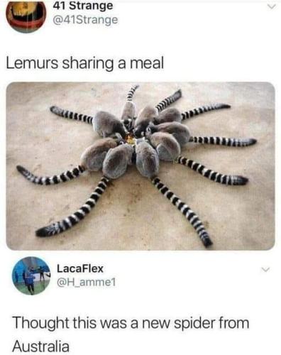 295808617_582865799985166_4327606642040539533_n