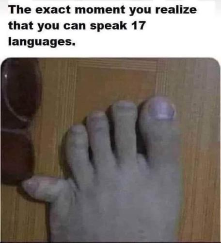 FB_IMG_1658447574702