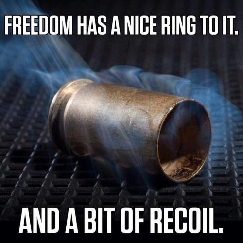 Freedom 1