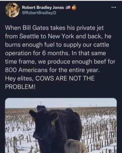 FB_IMG_1658252821566