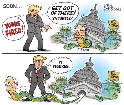 Slinky McTurtle