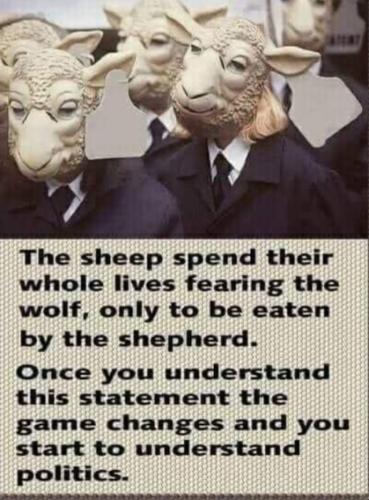 Screenshot_20220724-110222_MeWe