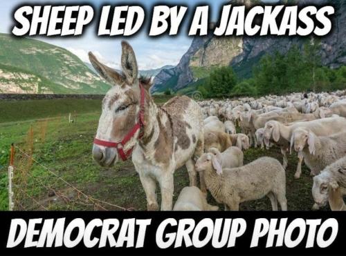 Screenshot_20220727-111839_Wimkin Free Speech Social Media