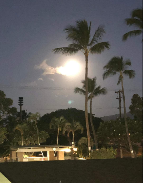 Screenshot_20220217-193903