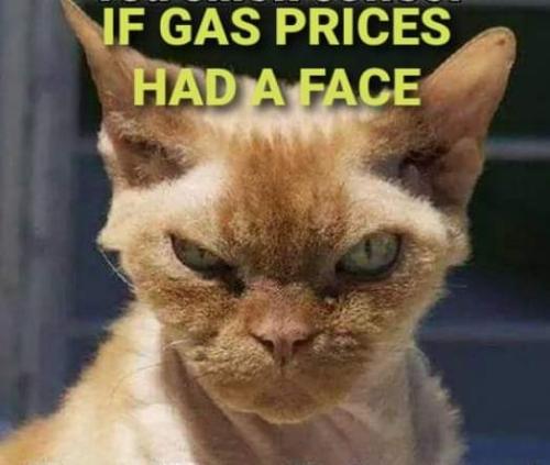 FB_IMG_1658342796932