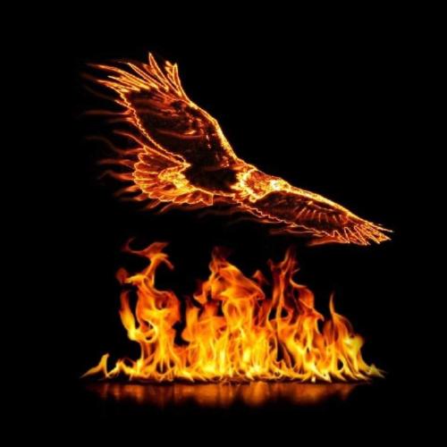 FB_IMG_1658134297715