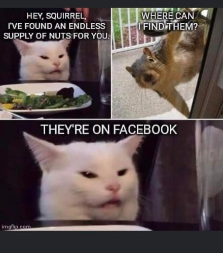 FB_IMG_1658155467111