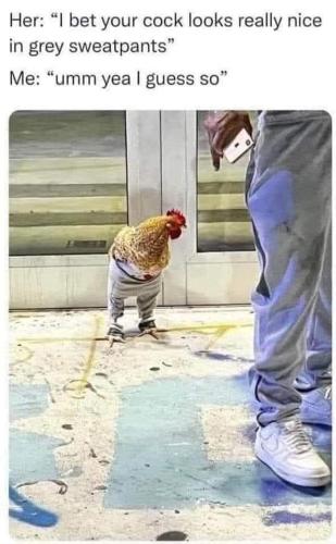 FB_IMG_1657386102534