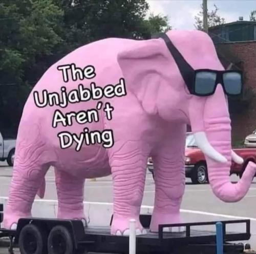 FB_IMG_1658108246810