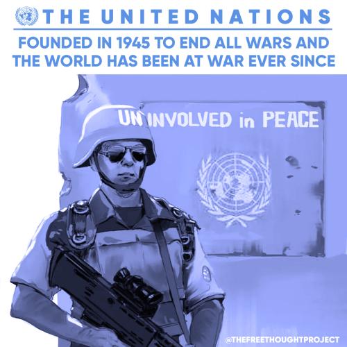 122444444444442424444424244424224