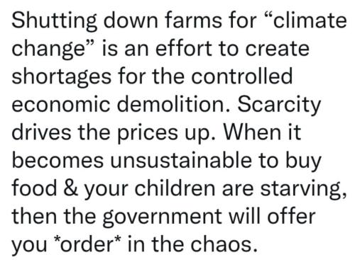 photo_2022-07-28_20-49-31