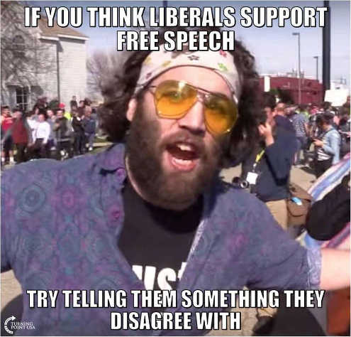 if-you-think-liberals-support-free-speech-try-telling-them-something-they-disagree-with