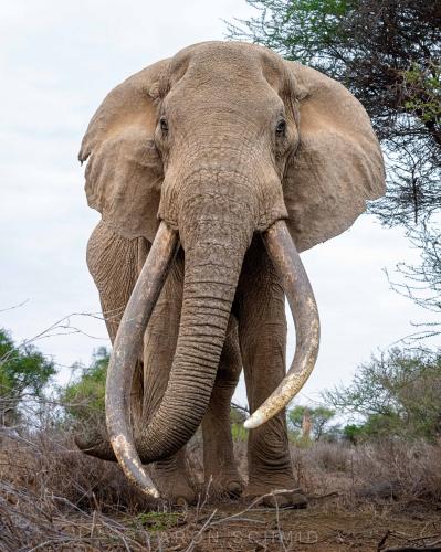 294470115_573422924232630_4775805679738432303_n