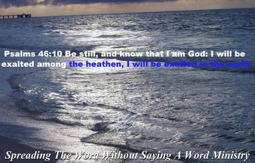 12473603_982936538455144_8376553860076906866_o