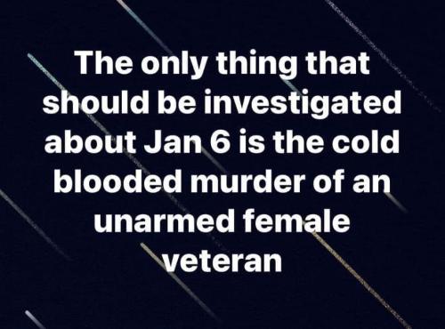 investigate murder wim