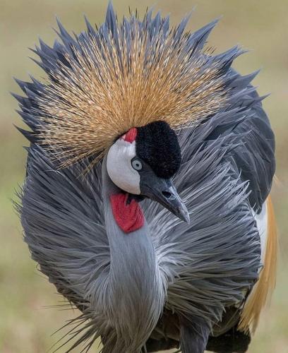 291394209_5254273507975602_4327050648485341658_n