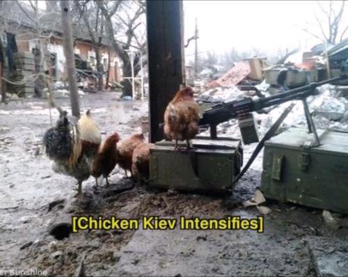 Screenshot_20220713-072646_YouTube