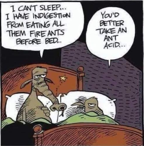 295138654_166207265933520_3341510789580969280_n