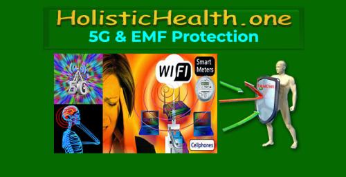 HolisticHealth.one EMF Protection