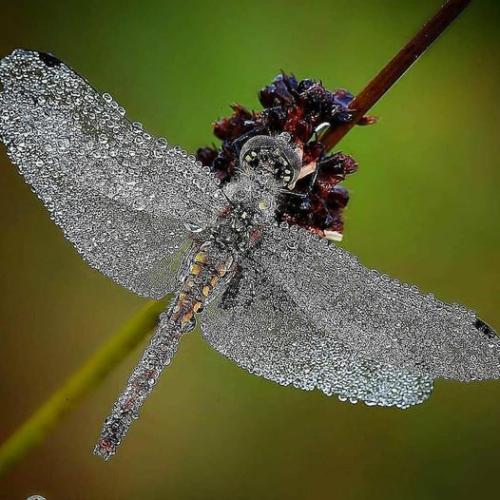 295092905_1463394614085994_1095530209189098995_n