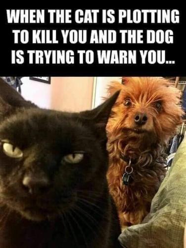 FB_IMG_1657909745787