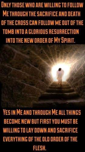 FB_IMG_1658127625493