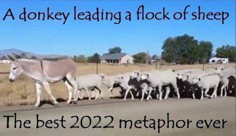 000000000000000000000000000000000000000000000000000000000000000000000000000000000000000000000000000000000000000000000000000000000000000000000000000000000000000000000000000000000000000000000000000nbvgytrfdcxzsaqwedsx