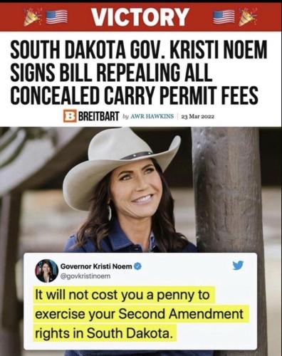 Gun Fees 1