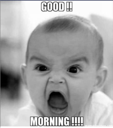 FB_IMG_1650806687645_60550981676950