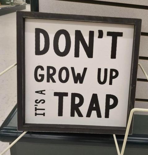 291982074_10228931926702473_2990022767737304729_n