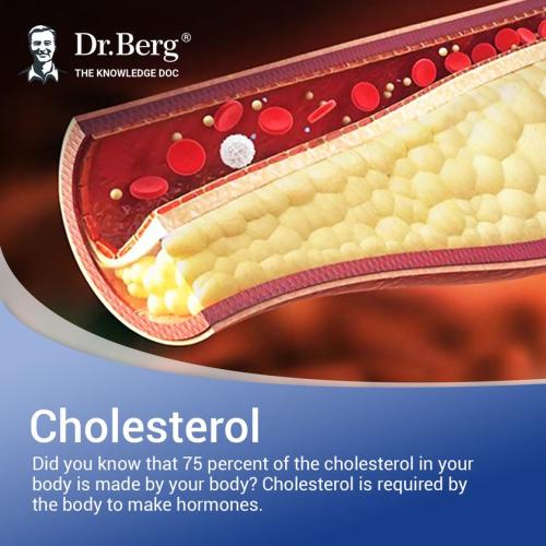 290604792_10160401560827847_3198240723229135008_n