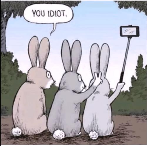 Screenshot_20220713-073142_YouTube