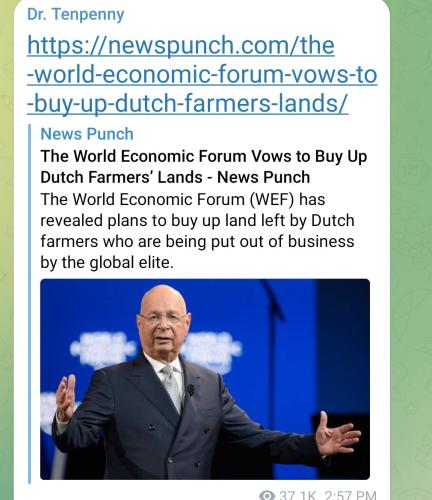 Screenshot_2022-07-23-09-00-37-485_org.telegram.messenger~2