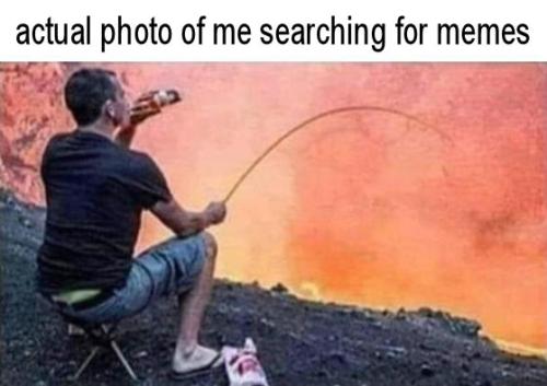actual photo of me searching for memes