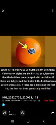 Screenshot_20220706-223642_Wimkin Free Speech Social Media